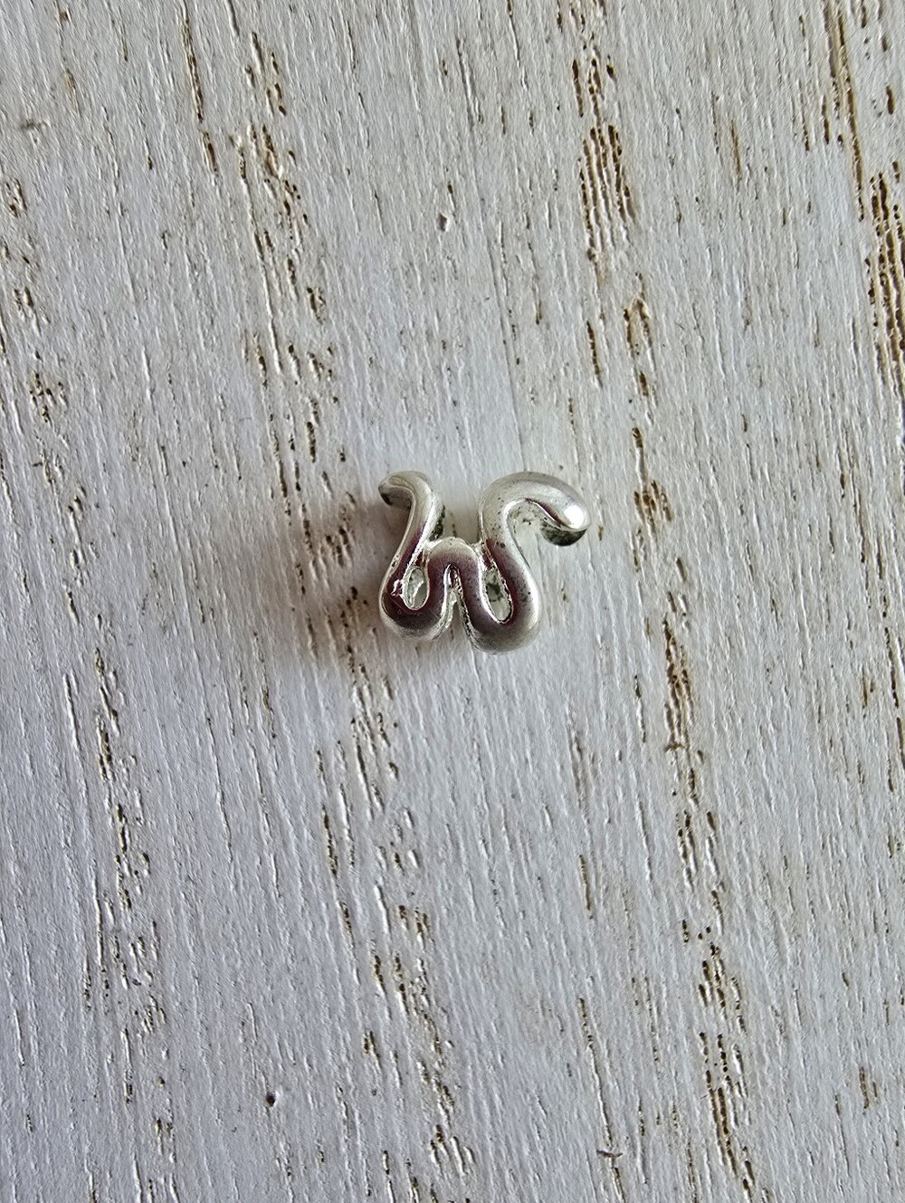 Snake Mini Charm